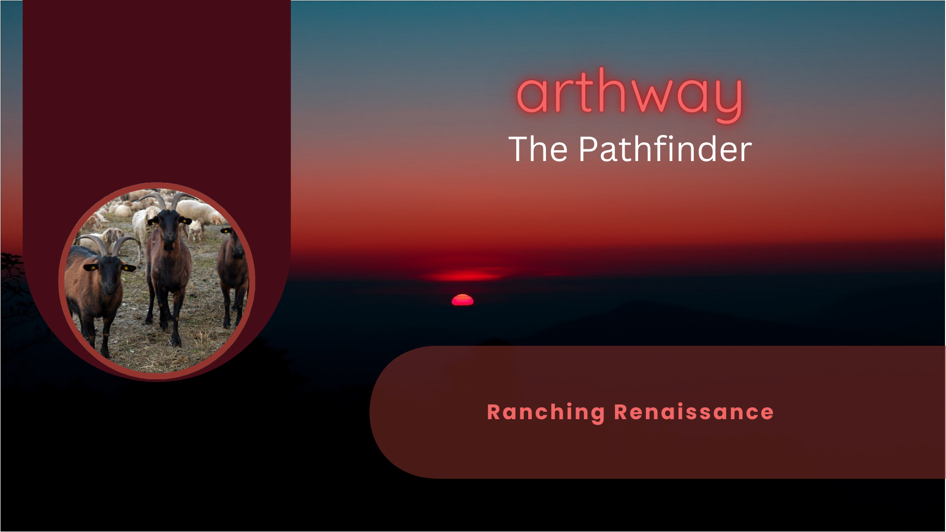 Ranching Renaissance: A Future of Flavor and Sustainability